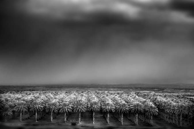 Rain-in-the-Jordan-Valley